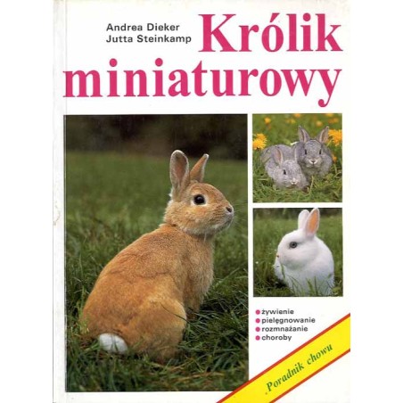 Królik miniaturowy
