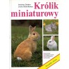 Królik miniaturowy