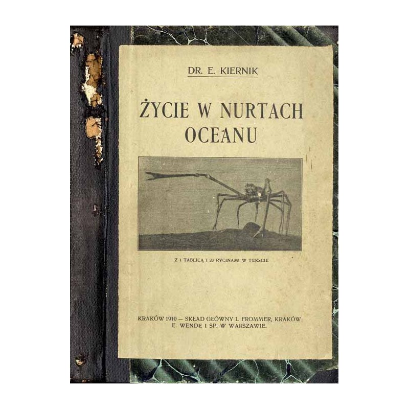 Życie w nurtach oceanu