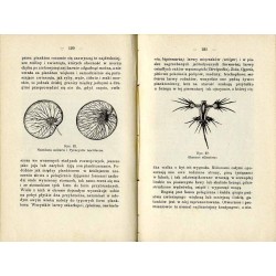 Życie w nurtach oceanu