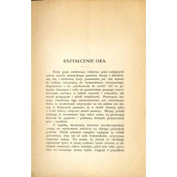 Wykształcenie artystyczne. Kształcenie oka. Przekład odczytu p.t. "Die Erziehung zum Sehen"