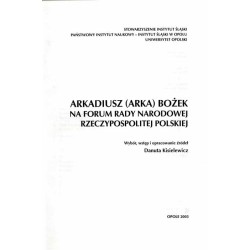 Arkadiusz (Arka) Bożek na forum Rady Narodowej Rzeczypospolitej Polskiej