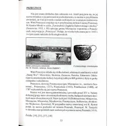 Zarys wiadomości o pochodzeniu nazw niektórych miejscowości Zagłębia Dąbrowskiego (Leksykon dla młodzieży szkolnej)