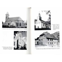 Białogard 1299-1999. Studia z dziejów miasta
