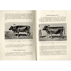 Hodowla ogólna zwierząt domowych