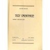 Trzy cmentarze. Poemat fantastyczny