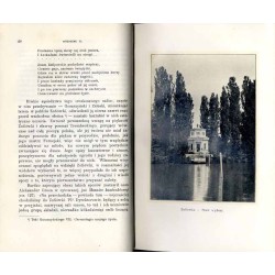 Bogdan Zaleski do upadku powstania listopadowego 1802-1831. Życie i poezya. Karta z dziejów romantyzmu polskiego