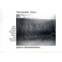 Tarnowskie Góry - piękno dewastowane..