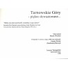 Tarnowskie Góry - piękno dewastowane..