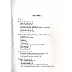 Szkolnictwo parafialne Krakowa w XVII wieku