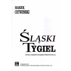 Śląski tygiel. Studia z dziejów polskiego średniowiecza