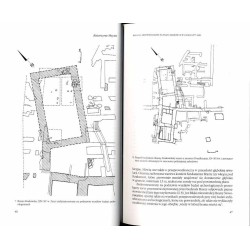 Almanach Muzealny. T. 4 (2003) / Badania archeologiczne na placu Zamkowym w latach 1977-1983 
Plac Teatralny w Warszawie. Wnio