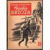 Biała brzoza. Powieść