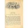 Po Kraju Ussuryjskim (Podróż w góry Sichote-Aliń w latach 1902-1906)