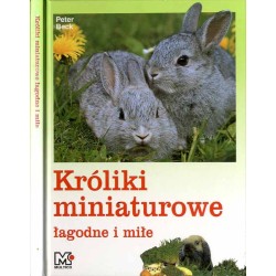 Króliki miniaturowe łagodne i miłe