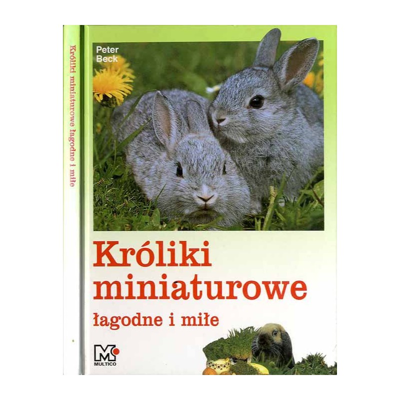 Króliki miniaturowe łagodne i miłe