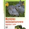 Króliki miniaturowe łagodne i miłe