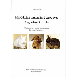 Króliki miniaturowe łagodne i miłe