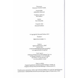 Przewodnik po zabytkach województwa lubuskiego. 3t. w 3 woluminach. T. 1: Powiaty: zielonogórski, świebodziński, krośnieński. T.