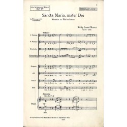 Sancta Maria, mater Dei. Motette zu Marienfesten