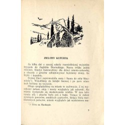 Zielony kuferek