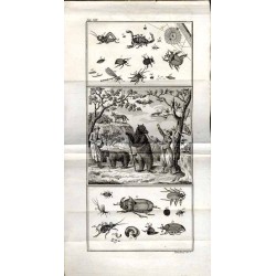 Entretiens d’un Père avec ses Enfans, sur l’Histoire Naturelle. T. 5: Tables et Planches