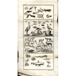 Entretiens d’un Père avec ses Enfans, sur l’Histoire Naturelle. T. 5: Tables et Planches