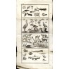 Entretiens d’un Père avec ses Enfans, sur l’Histoire Naturelle. T. 5: Tables et Planches
