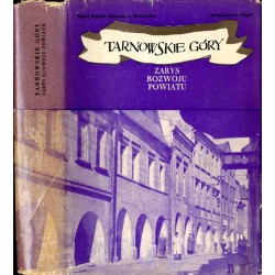 Tarnowskie Góry. Zarys rozwoju powiatu