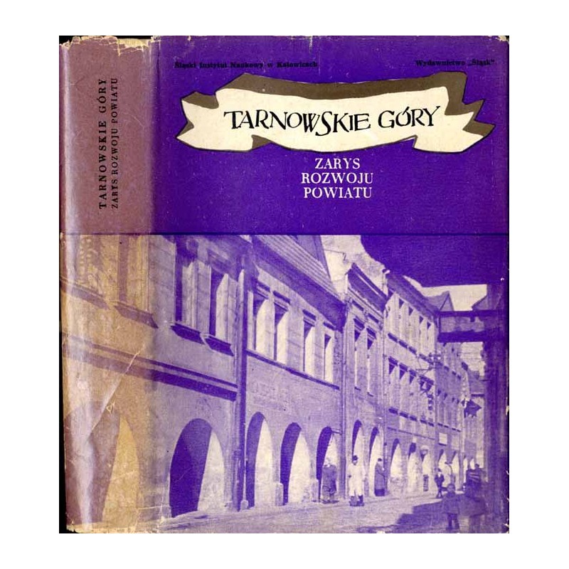 Tarnowskie Góry. Zarys rozwoju powiatu