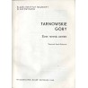 Tarnowskie Góry. Zarys rozwoju powiatu