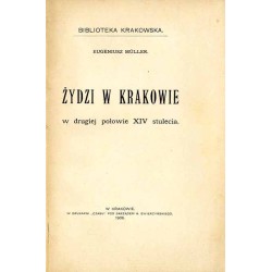 Żydzi w Krakowie w drugiej połowie XIV stulecia. Sprawozdanie Wydziału Towarzystwa Miłośników Historyi i Zabytków Krakowa za rok