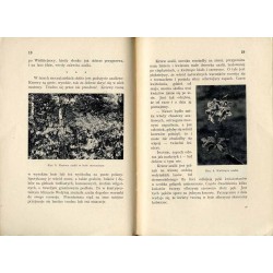 Wołyńskimi drogami. Od Horynia po granicę