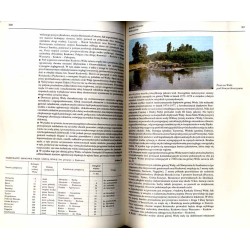 Wisła. Monografia rzeki. Praca zbiorowa