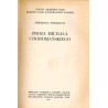 Proza Michała Choromańskiego