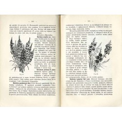 Ogrodnictwo polskie. T.1: Część ogólna i ogród ozdobowy