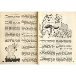 Kolorowe bajki