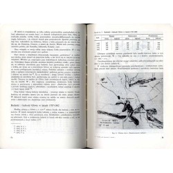 Studia nad miastami i wsiami śląskimi