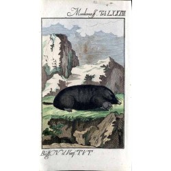 Herrn von Buffons Naturgeschichte der vierfüssigen Thiere. Fünfter Band