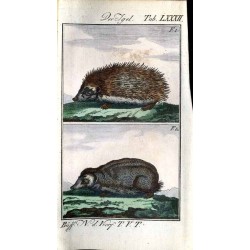Herrn von Buffons Naturgeschichte der vierfüssigen Thiere. Fünfter Band
