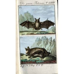 Herrn von Buffons Naturgeschichte der vierfüssigen Thiere. Fünfter Band