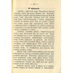 Z krainy Wjunów (z Polesia)