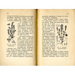 Darmozjady w świecie roślin (opracowanie według Kernera, S. Porieckiego i in.)