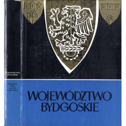 Województwo bydgoskie. Krajobraz, dzieje, kultura, gospodarka