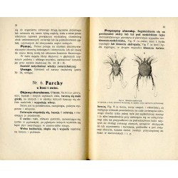 Choroby zakaźne-zaraźliwe objęte ustawą u zwierząt domowych
