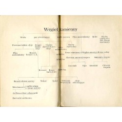 Historya kawałka węgla. Czem on jest, skąd się wziął, co się zeń robi