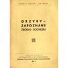 Grzyby - zapoznane źródło dochodu