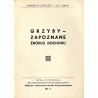 Grzyby - zapoznane źródło dochodu