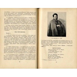 Literatura polska wieku XIX. Cz. 5. 2: Młoda Polska