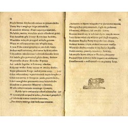 Poema w XXII. pieśniach pod tytułem: Syn marnotrawny